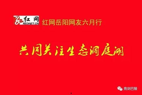 红网 岳阳论坛,聚焦热点话题，共话城市发展