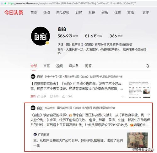 今日头条能投稿吗,开启内容创作新篇章