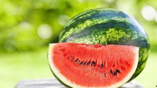 瓜减肥期间可以吃吗,减肥期间的理想选择？