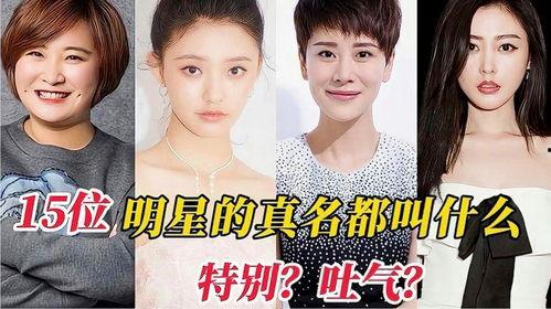 明星名字林,璀璨星光下的传奇人生