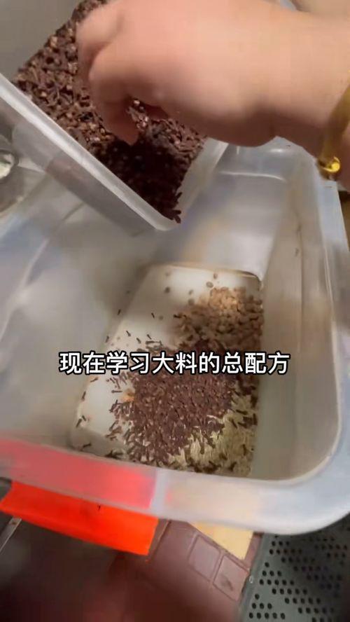 最新大料爆料配方,独家配方大公开，带你领略美食新境界