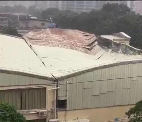 台风最新爆料视频,狂风暴雨肆虐，多地紧急应对