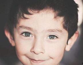 明星姓刘的有哪些,璀璨星河中的刘氏巨星