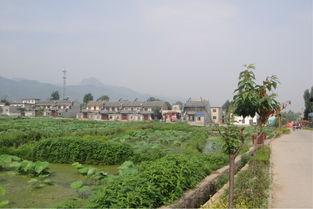 怀仁市小峪矿区新闻头条,重大发现助力区域经济发展