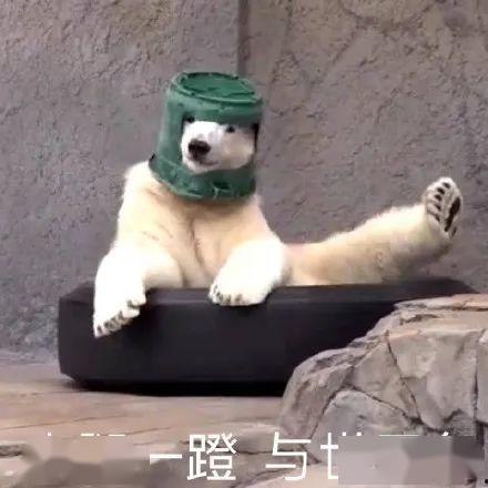 穿越吃瓜沙雕文,吃瓜群众逆袭记