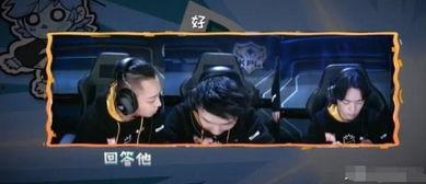 黑凤梨毒瘤爆料视频播放,揭秘事件背后惊人真相