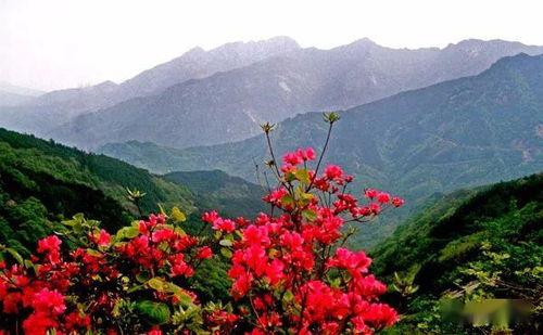 南部网红打卡地景点介绍,探寻热门景点的魅力瞬间