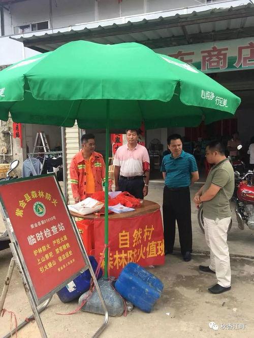 蓝塘头条,聚焦热点，解码蓝塘发展新篇章