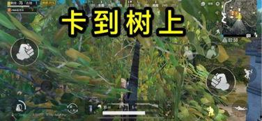 头条小游戏中的绝地求生,生存挑战，谁将笑到最后？