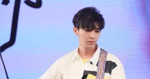 把明星雪藏读音,隐匿光芒的背后