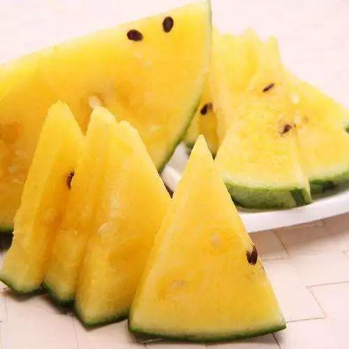 广东一中吃瓜,揭秘校园里的“瓜田”风云