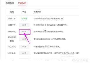 头条写文章哪里点原创,一键生成，让你的文章脱颖而出