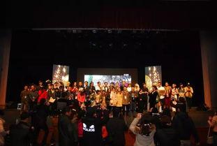 明星演出官方报价,豪华阵容与价格背后的故事