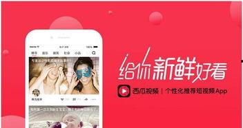 粗心媳妇今日头条视频