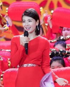 2017春晚明星,群星闪耀，精彩纷呈