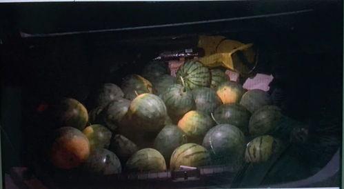 浙江义乌吃瓜,探寻浙江美食的魅力