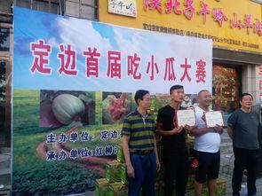 定边吃瓜,揭秘当地特色美食背后的故事